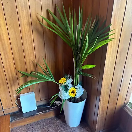 Residencial Almir Estarreja