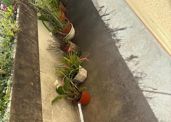 Bed & Breakfast Residencial Almir Estarreja